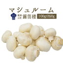 ◆マッシュルーム(シャンピニオン パリ)フレッシュ <フランス産>【100g/250g】【冷蔵品】