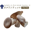 カルドンチェッロ フレッシュ きのこ イタリア産きのこ<イタリア産>【100g/250g】【冷蔵品】