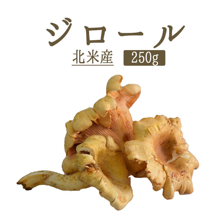 ジロール　ジロール茸　（アンズダケ　アンズ茸）フレッシュgirolles　＜北米産＞【250g】【冷蔵品】のサムネイル