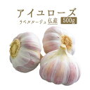 アイユ ローズ (ニンニク) ラベルルージュ <フランス ロ...