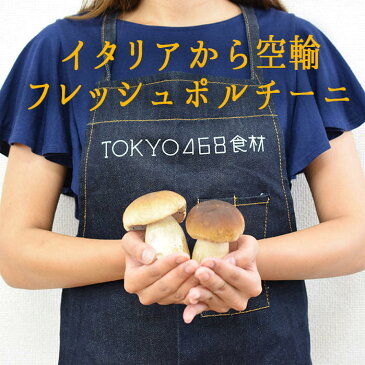 【季節限定】ポルチーニ　フレッシュ　＜イタリア産＞porcini【100g】【100g/\1800再計算】【冷蔵品】