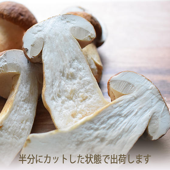 【季節限定】ポルチーニ　フレッシュ　＜イタリア産＞porcini【100g】【100g/\1800再計算】【冷蔵品】