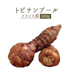 トピナンブール（キクイモ　菊芋）　topinambour＜フランス＞【500g】【冷蔵品】