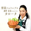 カロータ (ニンジン) <イタリア>野菜ソムリエおすすめ【1P=約250g】