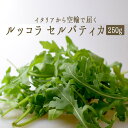 ルッコラ セルバティカ (ルーコラ) イタリア野菜<イタリア>【1P=250g】【冷蔵品】