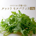 ルッコラ　セルバティカ　（ルーコラ）　イタリア野菜＜イタリア＞【1P=125g】【冷蔵品】