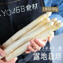 《送料無料》ホワイトアスパラ アスパラ 露地栽培 <フランス > 【1kg】【冷蔵品】
