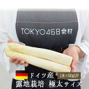 ◆ホワイトアスパラ 極太 アスパラ 露地栽培 <ドイツ産> 【2本=約180-240g】【冷蔵品】《あす楽》