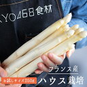 フレッシュ　ホワイトアスパラ　　白アスパラ　アスパラ　　＜フランス　ロワール産＞　【お試しサイズ　250g】《あす楽》 1