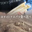 ホワイトアスパラ 食べ比べ ハウス栽培&露地栽培 <フランス産> 【4本(各2本)】