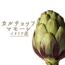 イタリア野菜 カルチョッフィマモーレ(アーティーチョーク)<イタリア産>【約1個=150-250g】【¥690/100g当たり再計算】【冷蔵品】(大きさは季節や...