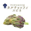 イタリア野菜 カルチョッフィ スピネ(アーティーチョーク)【1個=約150-250g】【¥730/100g再計算】<イタリア産>【冷蔵品】(大きさは季節や天候に...