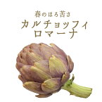 イタリア野菜　カルチョッフィ　ロマーナ（アーティーチョーク）【1個＝約300-350g】【￥580/100g再計算】（大きさは季節や天候によって前後する可能性がございます）＜イタリア産＞