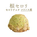 根セロリ　セロリラブ　セロリアック　セダーノ　ラーパ　＜フランス産＞　【800g-1.5kg】【￥561/100g再計算】