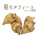 根セルフィーユ (セルフィーユの根) チャービルルート 【3...