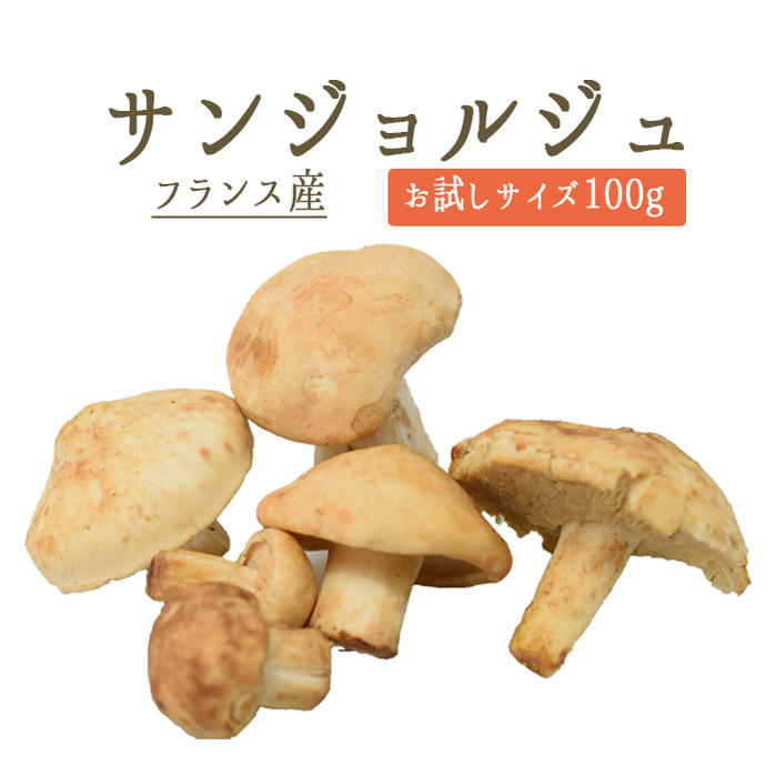 サンジョルジュ　（キシメジ科）　＜フランス産＞　【100g】【冷蔵品】