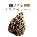 岩木屋 青森の味！ きのこ特製醤油味付 瓶詰　きのこなんばん　辛口230g(FK3303) 特産品