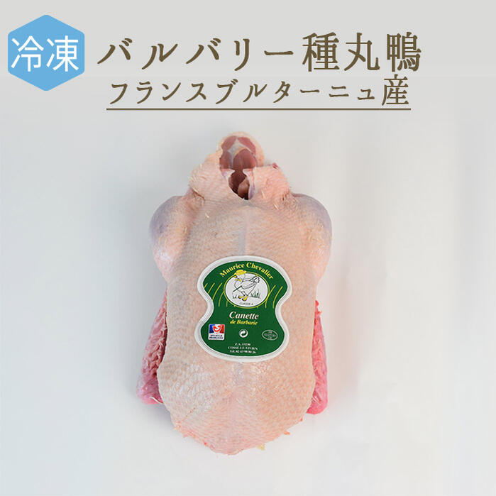 【冷凍】小鴨　キャネット　バルバリー種　（頭無・中抜）canard　＜フランス　ブルターニュ産＞【約1...