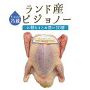 《送料無料》【フレッシュ 冷蔵】仔鳩 ハト （ピジョノー Pigeonneau）頭 内臓付 エトフェ（窒息）＜フランスランド産＞【1羽 約400-450g×10羽】