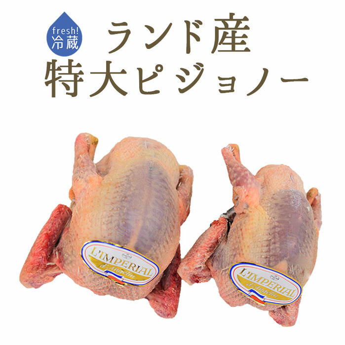 【フレッシュ　冷蔵】仔鳩　特大　ハト　（ピジョノー　Pigeonneau）頭・内臓付　エトフェ（窒息）＜フランスランド産＞【特大サイズ　1羽=約500-700g（1羽入り）】