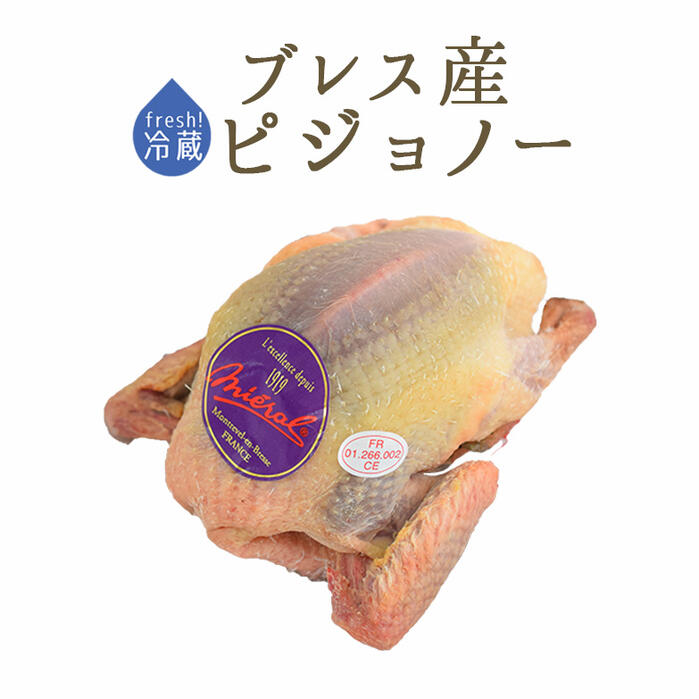 【フレッシュ　冷蔵】食用鳩　仔鳩　ハト　（ピジョノー　Pigeonneau）頭・内臓付　＜フランス　ブレス産＞【1羽＝約450-500g】【冷蔵品/冷蔵・常温商品との同梱不可】