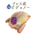 【フレッシュ 冷蔵】食用鳩 仔鳩 ハト （ピジョノー Pigeonneau）頭 内臓付 ＜フランス ブレス産＞【1羽＝約450-500g】【冷蔵品/冷蔵 常温商品との同梱不可】