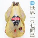 【冷凍】　《送料無料》七面鳥　ターキー　ダンドー　（頭無・中抜）＜ブレス産＞【約3.8kg】【冷凍品】