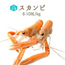 CAS冷凍　スカンピ（ラングスティーヌ）＜スコットランド産＞【1kg/パック6-10尾入り】【冷凍品/冷蔵・常温商品との同梱不可】