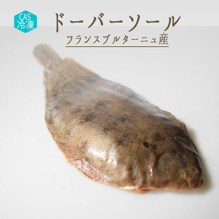 【CAS冷凍】舌平目 ドーバーソール (頭付・中付)【1尾=約400-600g】<フランス ブルターニュ産>【冷凍品】