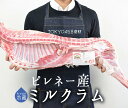  ラム肉 乳飲み仔羊 半身 ミルクラム アニョー・ド・レ ＜フランス ピレネー産＞ 