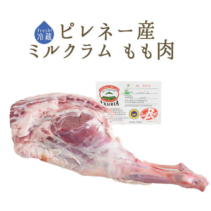 【フレッシュ 冷蔵】 ラム肉 乳飲み仔羊 骨付き もも肉 ジゴ ＜フランス ピレネー産＞ 【約1-1.3kg】 1