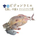 【冷凍】ピジョン　ラミエ　（山鳩　野生）　毛無し・中付き　　ジビエ　＜スコットランド産＞　【約350-400g】【冷凍品】