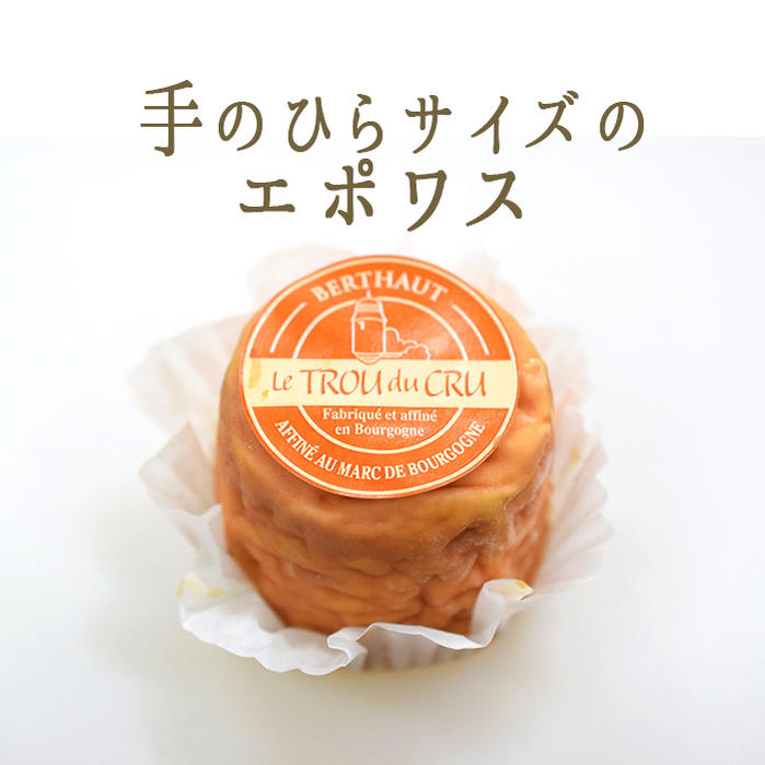 ウォッシュチーズ コート ドール Cote d'Or 約150g フランス産 ブルゴーニュ デュラン社製 期間限定品 毎週水・金曜日発送