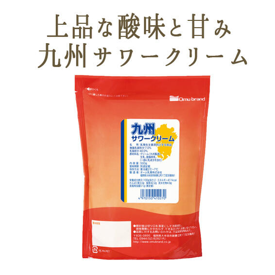 九州　サワークリーム　チーズ　オーム乳業　＜国産＞【500g】【冷蔵品】