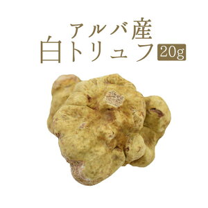 ◆アルバ産　白トリュフ　【送料無料・予約不要】トリュフ　　truffe　＜イタリア　アルバ産＞【1P＝約20g】【￥1170/1g再計算】【冷蔵品】