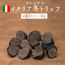 【送料無料】フレッシュ　冬トリュフ　（黒トリュフ）お徳用　モルソー　アンジェロッツィ社　truffe　トリュフ　＜イタリア＞【50g】【冷蔵品】