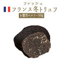 【送料無料】フレッシュ　冬トリュフ　（黒トリュフ）　＜お徳用　モルソー＞　トリュフ　＜フランス＞【50g】【冷蔵品】