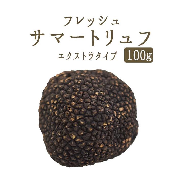 【季節限定】フレッシュ サマートリュフ エクストラ トリュフ 夏トリュフ ＜イタリア マルケ産＞【100g】【冷蔵品】