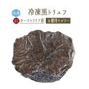 黒トリュフ （冬トリュフ） ＜お徳用 モルソー＞  truffe トリュフ ＜オーストラリア＞ 