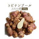 トピナンブール(キクイモ 菊芋) topinambour<フランス>【500g】【冷蔵品】