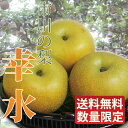 幸水 梨 5L 9個〜10個入り 千葉県市川産市川の梨 産地直送梨伝統の味 お彼岸贈り物 お中元暑中見舞い 61188 【smtb-s】【楽ギフ_包装】 【RCP】 10P30May15