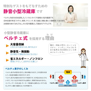 冷蔵庫小型 ミニ冷蔵庫 小型冷蔵庫 送料無料 【メーカー5年保証】省エネ17リットル型 Peltism(ペルチィズム) DuneWhite ClassicBlack 白　黒 右開き 左開き 冷蔵庫 ペルチェ冷蔵庫 一人暮らし 1ドア