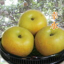 【8月上旬出荷開始】幸水 梨 5L 9個~10個入り 千葉県市川産市川の梨 産地直送梨伝統の味 お彼岸贈り物 お中元暑中見舞い
