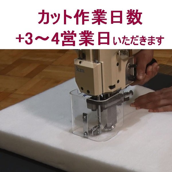 ホワイトキューオン_カット料