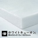 スタイロフォーム 40mm厚【40×900×900mm】（2枚入）DIY クラフト用材料 断熱材 パッケージング材料 クッション材 軽量保護材 フォーム素材 緩衝材 ダンボール代替 梱包材 モデリング素材