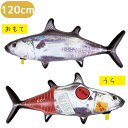 フロート 【WF00269】 リアルマグロフロート 120cm 浮き輪 子供 大人 かわいい おしゃれ プール 海 レジャー アウトドア 水遊び 夏休み 海水浴...
