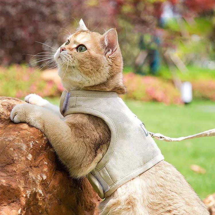 猫用ハーネス 猫 ベスト 胸当て ハーネス 簡単着脱 首輪 ペット用品 胴輪 超軽量 ...