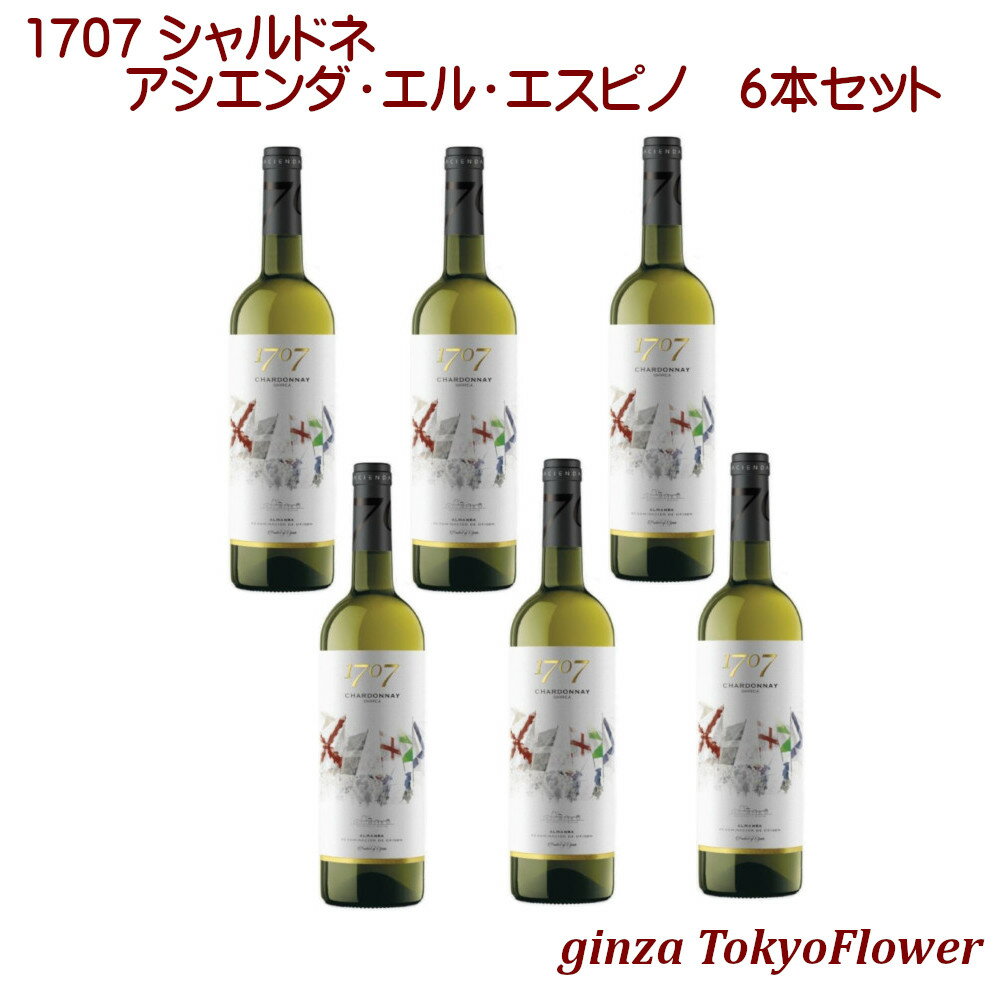 1707 シャルドネ アシエンダ エル エスピノ 白ワイン KIWE認定オーガニックワイン 750ml ×6本 セット 1333円/本 送料別 酒 宅飲み ステイホーム お祝い 記念日 ギフト プレゼント