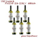 1707 シャルドネ アシエンダ エル エスピノ 白ワイン KIWE認定オーガニックワイン 750ml ×6本 セット 1333円/本 送料別 酒 宅飲み ステイホーム お祝い 記念日 ギフト プレゼント