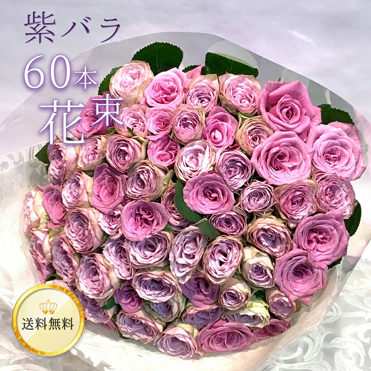 紫バラ60本の花束 生花 紫のバラ ムラサキバラ 東京銀座クオリティ スーパーセール 送料無料 送料込み 紫色 バラ 薔薇 ばら 花 父の日 2025 花束 お祝い 誕生日 記念日 プレゼント ギフト プロポーズ 結婚 退職 還暦 長寿 米寿 古希 喜寿 金婚式 祝い クール便選択可能のサムネイル